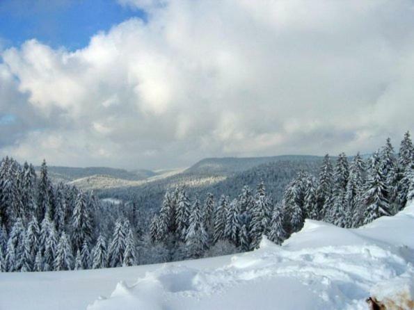 Les Chenes Rouges Apartment Gérardmer Екстериор снимка